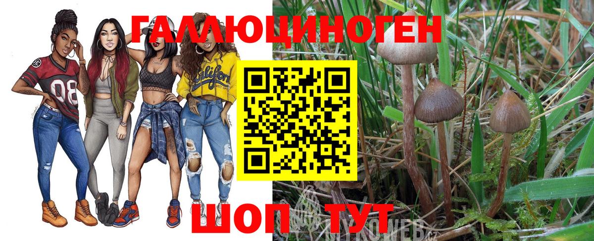 цена наркотик  Заводоуковск  Галлюциногенные грибы мицелий 